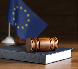 #4 디지털 포용 실현을 위한 EU의 법제적 도약과 시사점