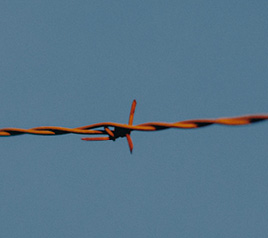 디지털 장벽: 국경 통제 기술의 고도화와 이주민 인권